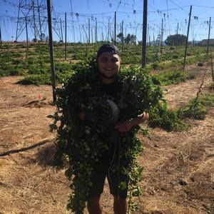 Meet your Posher, Jovan